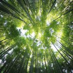 Amélioration de l&rsquo;habitat : quels travaux entreprendre pour améliorer la qualité de l&rsquo;air intérieur ?
