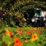 Les 10 erreurs courantes à éviter dans le jardinage