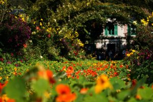 Les 10 erreurs courantes à éviter dans le jardinage