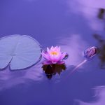 La méditation pour améliorer sa santé mentale : guide pour débutants