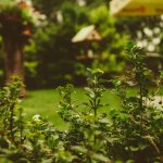 Aménagement d&rsquo;espaces extérieurs : nos conseils de création de jardins et terrasses conviviales