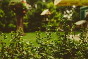Aménagement d&rsquo;espaces extérieurs : nos conseils de création de jardins et terrasses conviviales